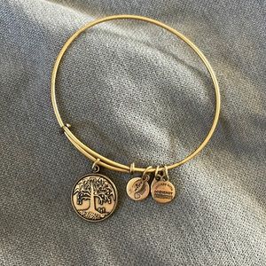 Alex and Ani Tree of life Bracelet